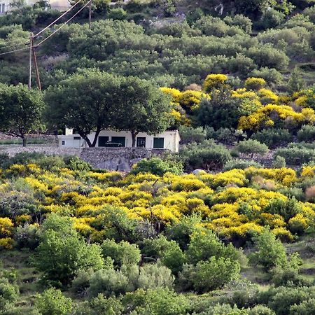 Villa " Davorka" พอดโกรา ภายนอก รูปภาพ