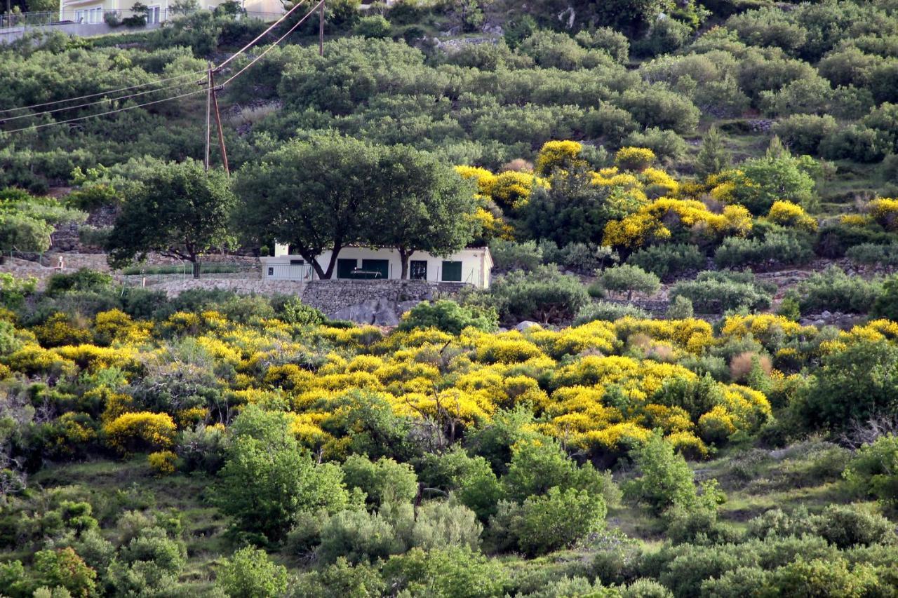 Villa " Davorka" พอดโกรา ภายนอก รูปภาพ