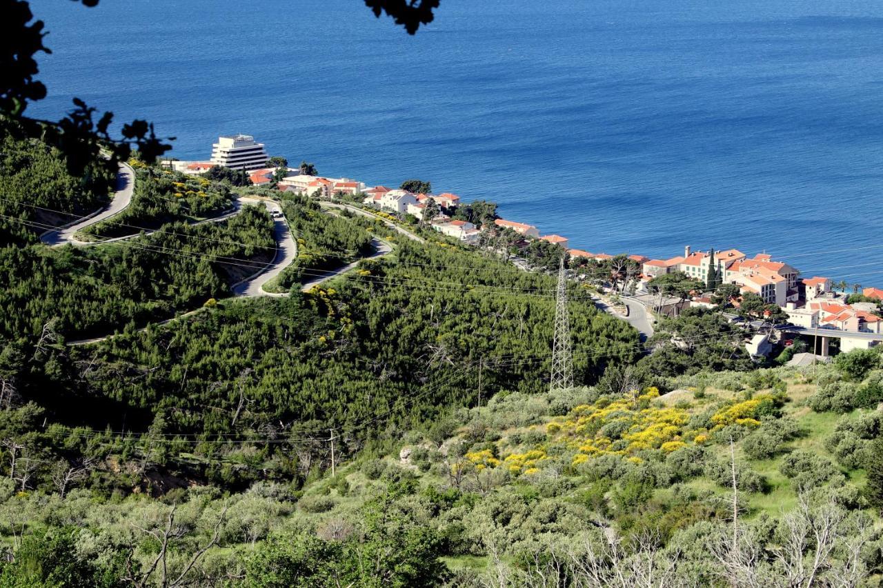 Villa " Davorka" พอดโกรา ภายนอก รูปภาพ