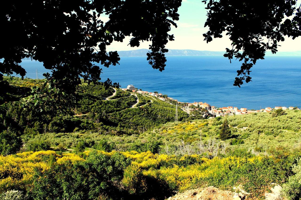 Villa " Davorka" พอดโกรา ภายนอก รูปภาพ