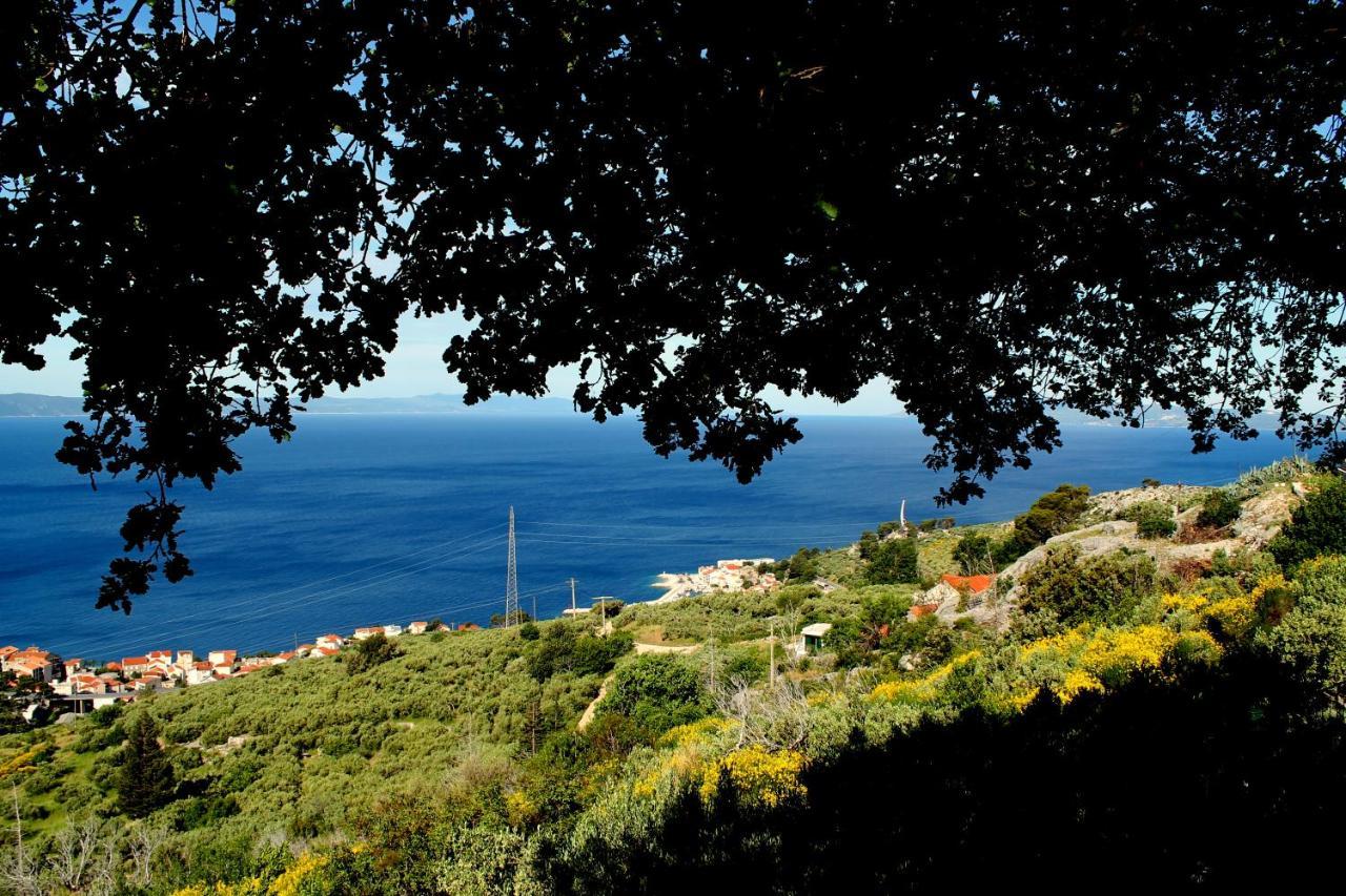 Villa " Davorka" พอดโกรา ภายนอก รูปภาพ