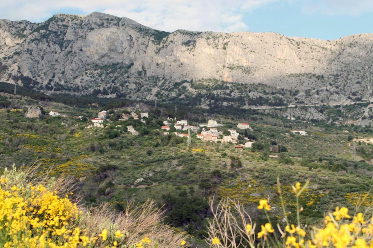 Villa " Davorka" พอดโกรา ภายนอก รูปภาพ