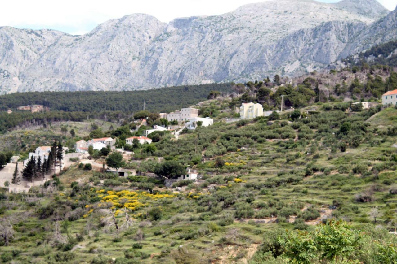 Villa " Davorka" พอดโกรา ภายนอก รูปภาพ