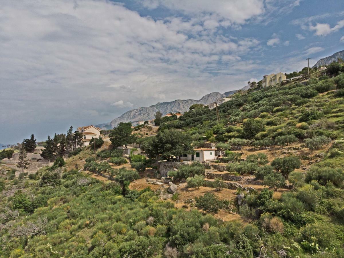 Villa " Davorka" พอดโกรา ภายนอก รูปภาพ